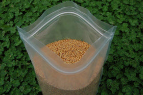 Lush Tri-Clover growth promotes soil cover and organic matter in beds.