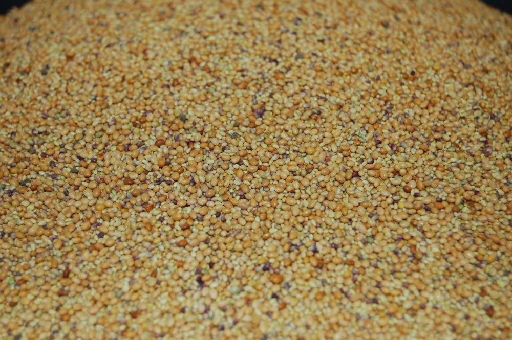 Three clover varieties in one blend for balanced garden beauty.