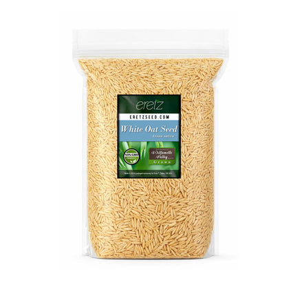 Eretz White Oat Seed Oregon-grown 3lb pack for nutritious greens