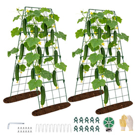 Erinaik 2-pack cucumber trellis, 48x16 inches, sturdy climbing support.