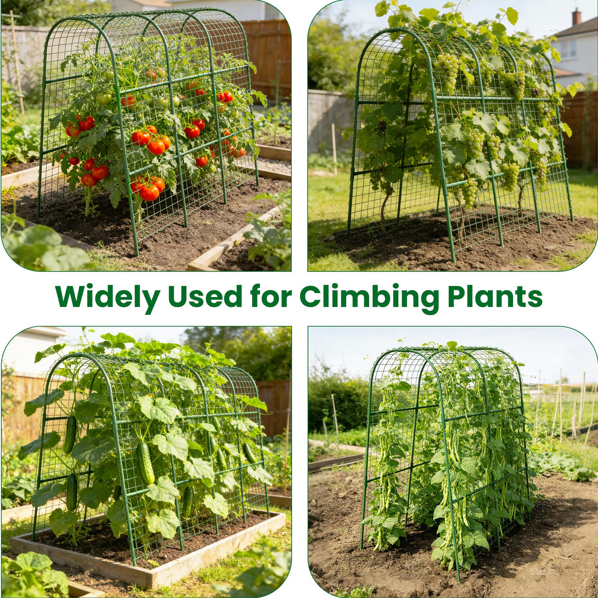 Erinaik adjustable frame adapts to bed size and plant growth.