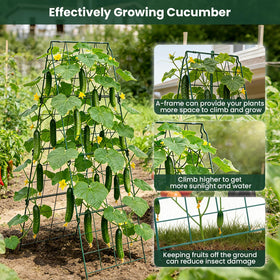 Erinaik promotes airflow and tidy growth for climbing plants.