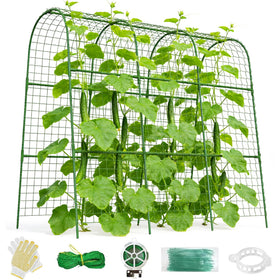 Erinaik cucumber trellis on raised bed supports vertical growth for cucumbers.