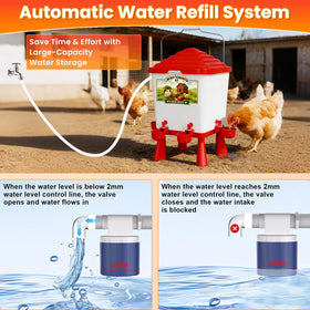 Erinaik cup waterer system in coop helps reduce dirt and spills.