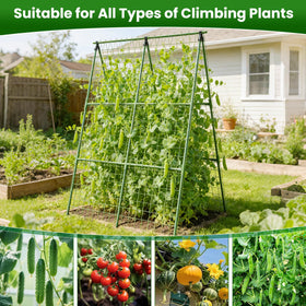 Extended ground stakes prevent tipping during heavy fruit loads