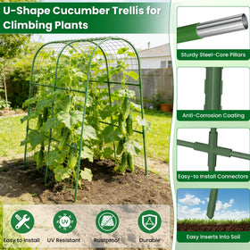 Erinaik Metal Arch Trellis for outdoors promotes vertical growth and airflow.