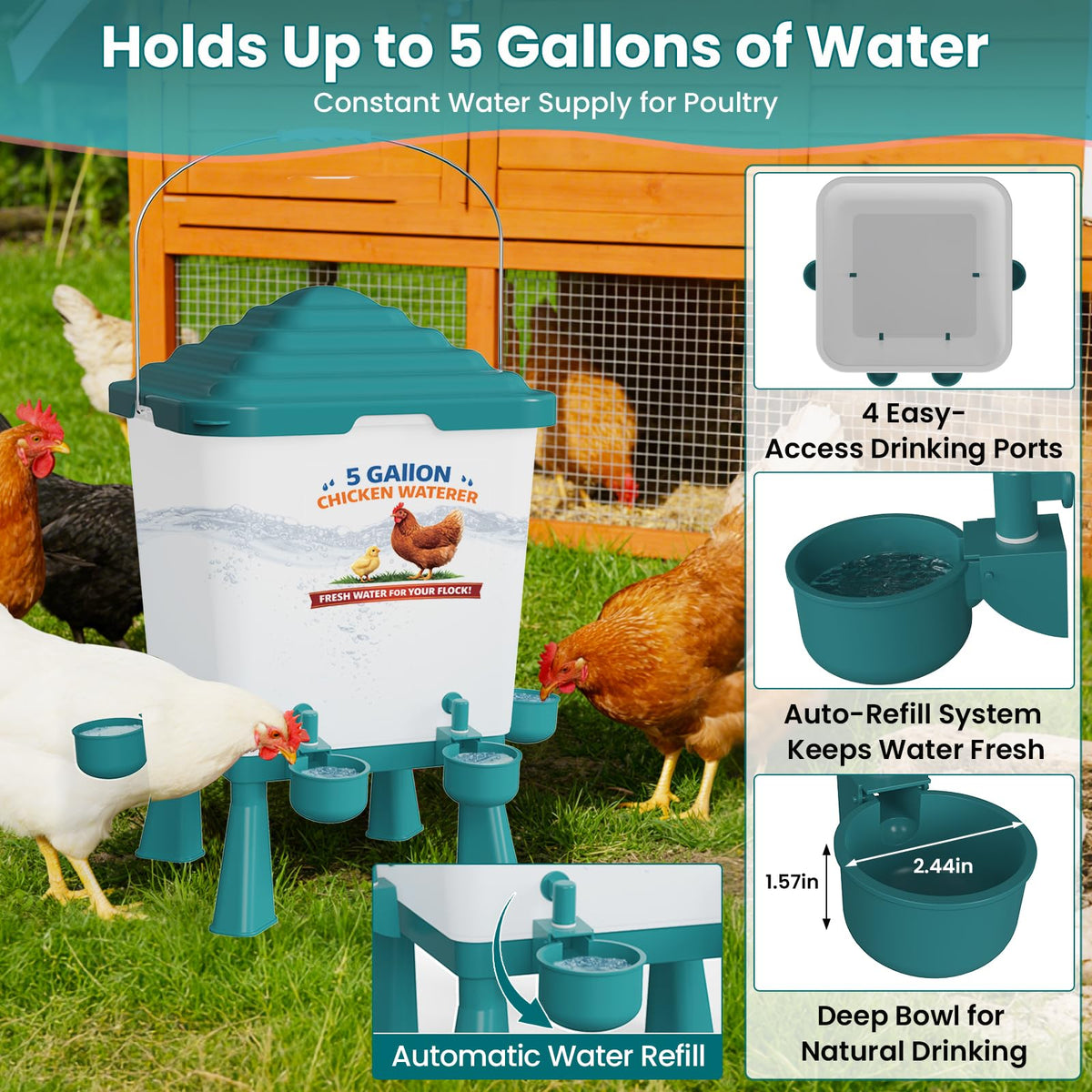 Erinaik no-waste design with anti-spill baffles keeps coops cleaner.