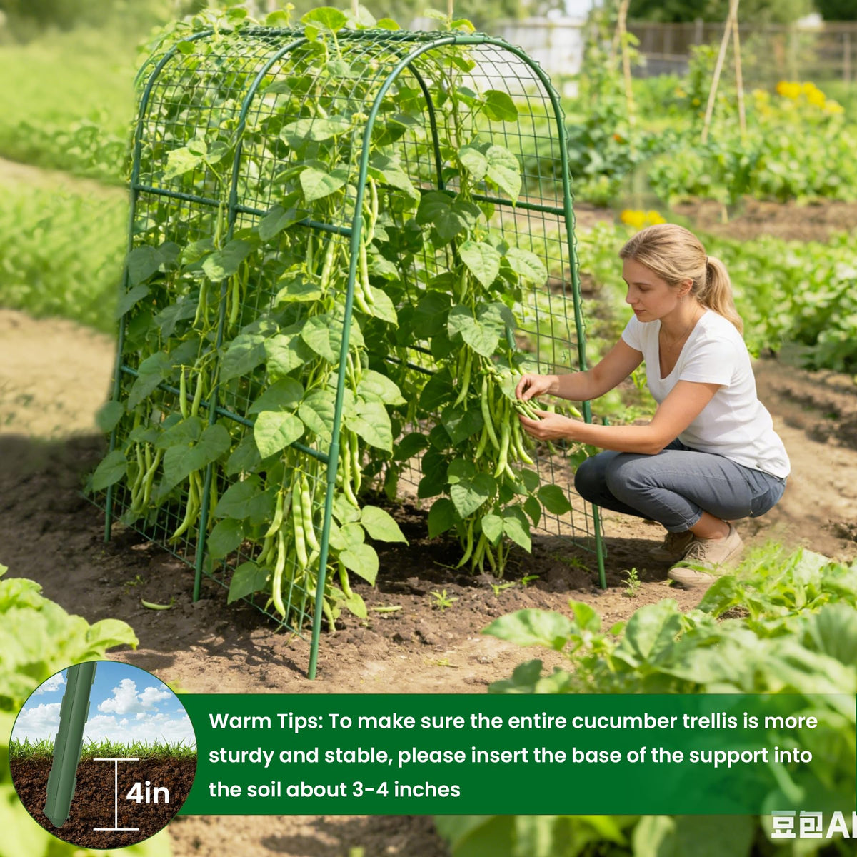 Erinaik Plant Support for Climbing Plants helps vines reach sunlight efficiently.