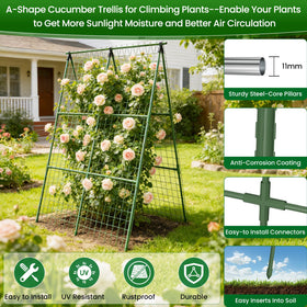 Universal climbing plant support for cucumbers, beans, roses and more