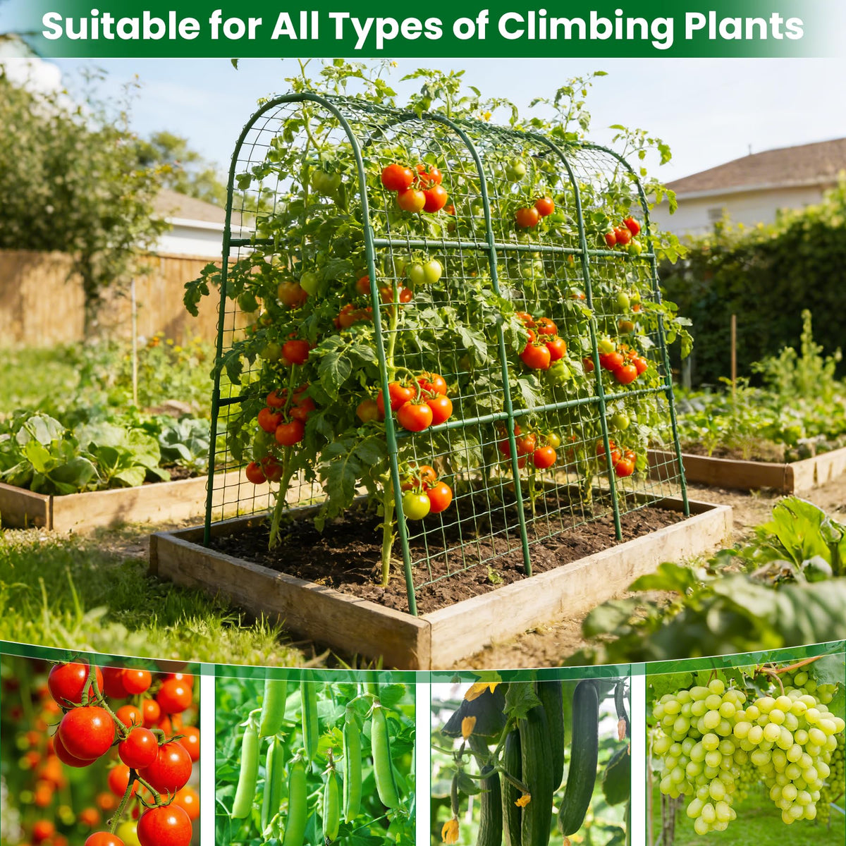 Erinaik versatile trellis supports cucumbers, beans, roses, and peas.