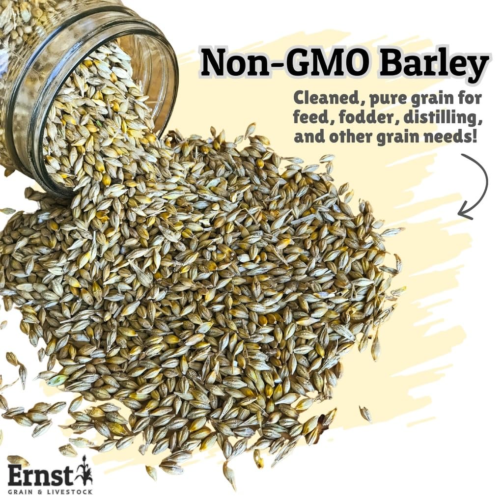 Ernst Grain & Livestock barley seeds bag displayed on a shelf