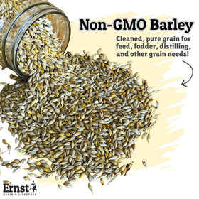 Ernst Grain & Livestock barley seeds bag displayed on a shelf