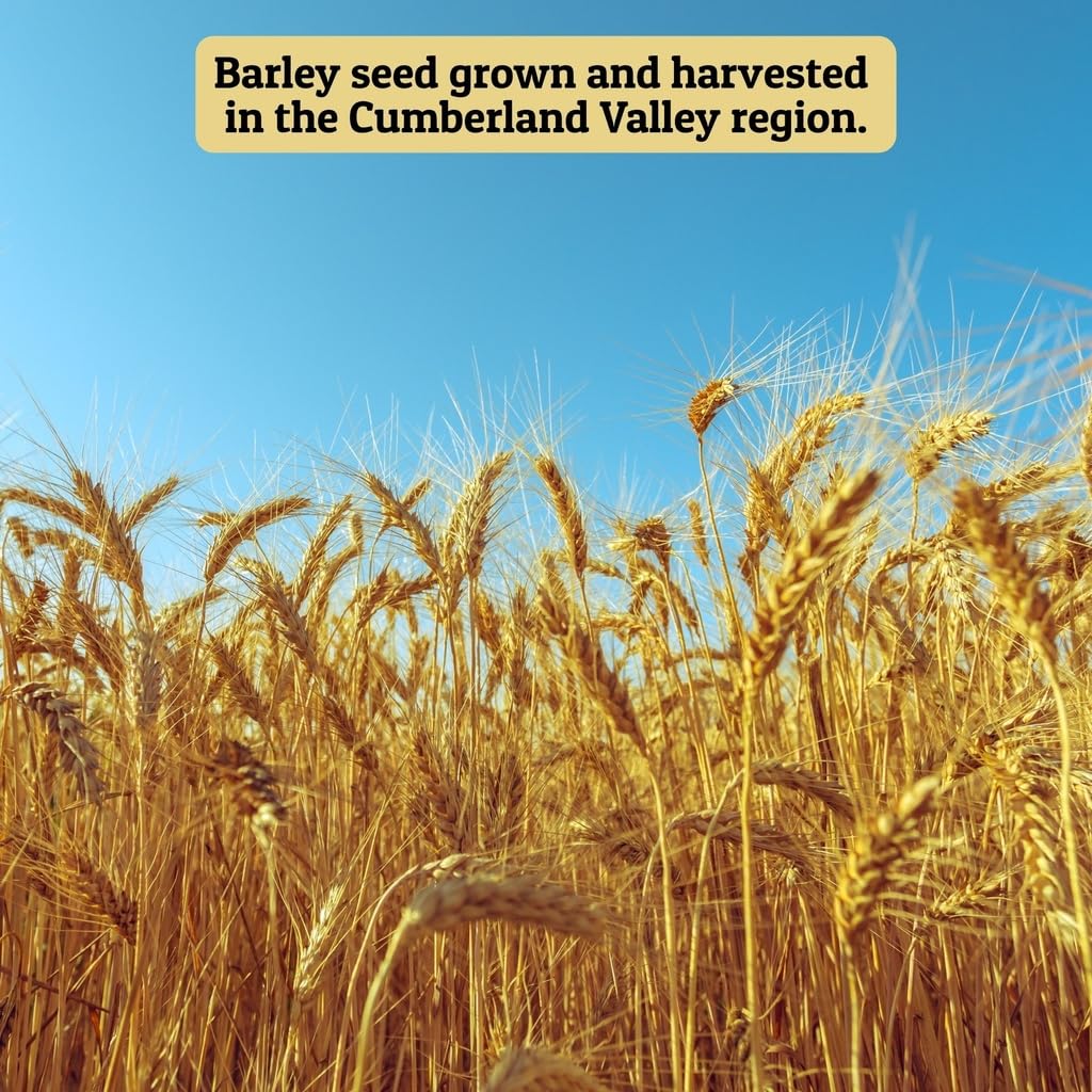 Horse being fed Ernst Grain & Livestock barley seeds, versatile feed option