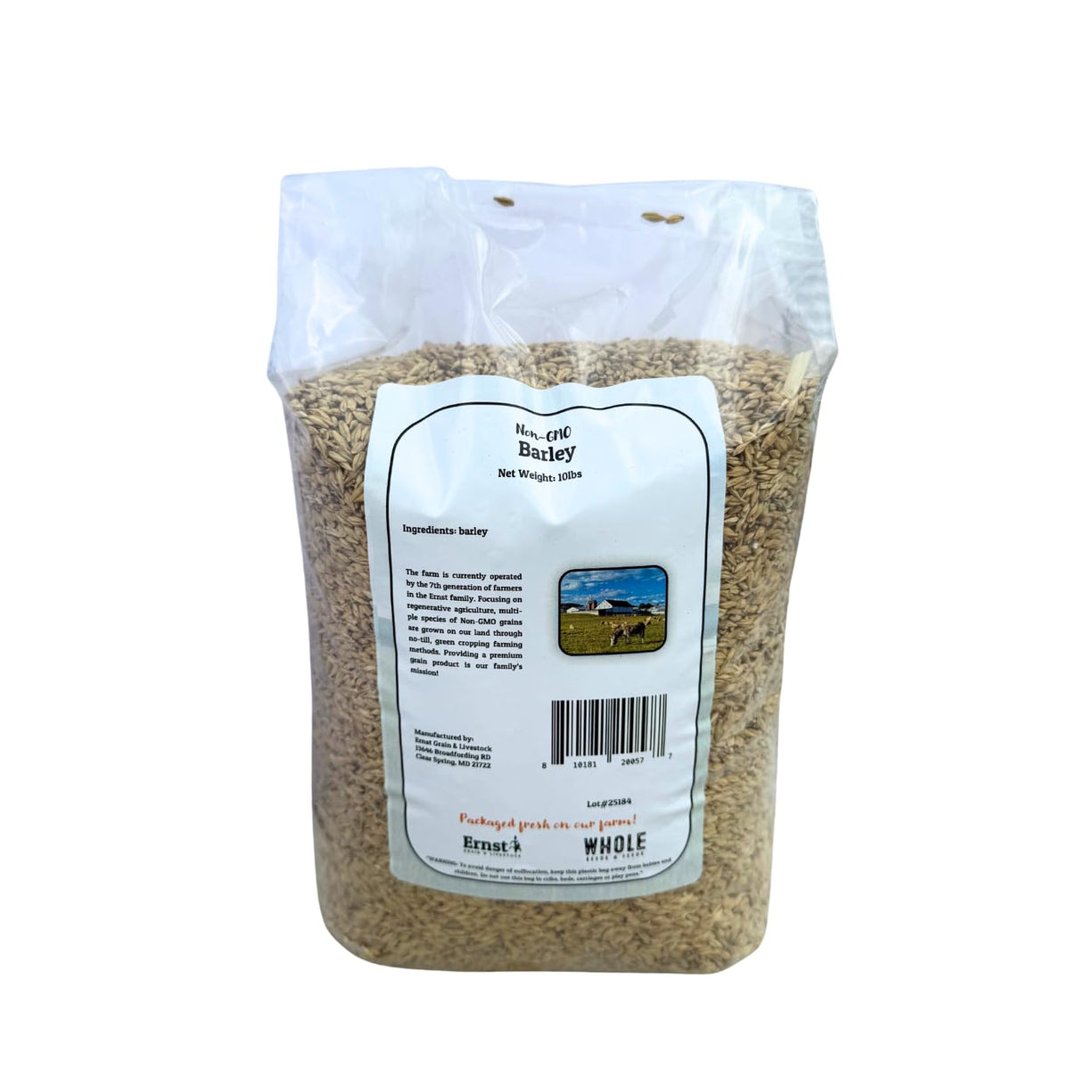 Close-up of Ernst Grain & Livestock barley kernels, natural and unprocessed