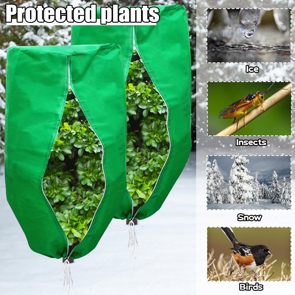 ERTIUANIO rounded-top design offers larger coverage for taller plants and clusters.