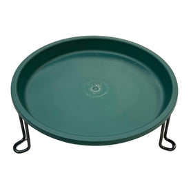 Erva ground level bird bath with 14-inch ring attracts birds