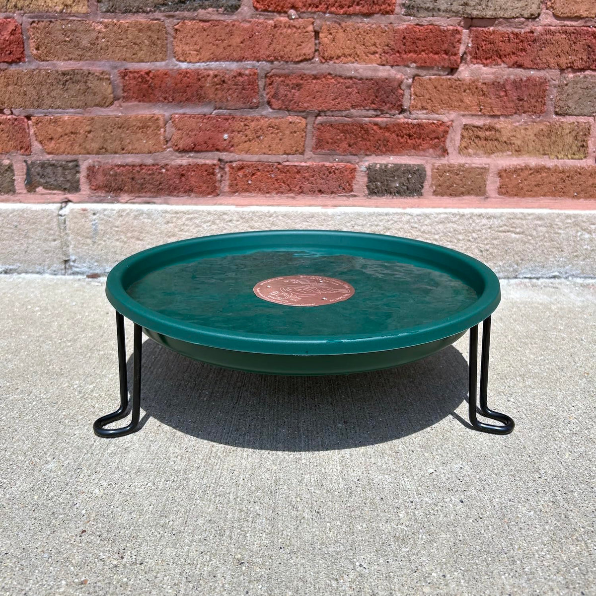 Erva ground level bird bath green dish offers safe, accessible water
