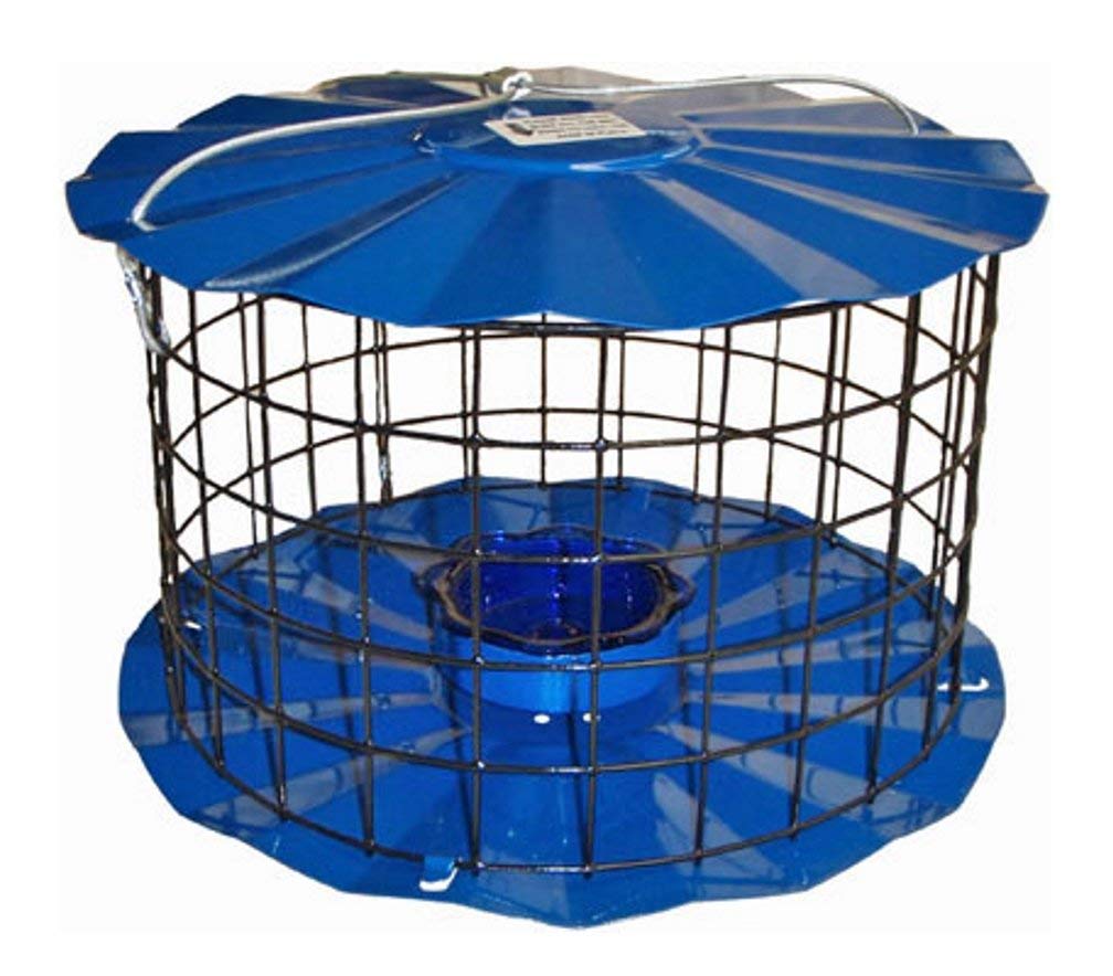 Erva Starling-Proof bluebird feeder with barrier guard attracting bluebirds