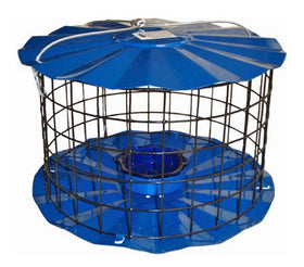Erva Starling-Proof bluebird feeder with barrier guard attracting bluebirds