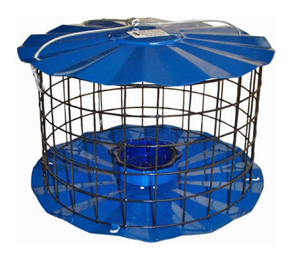 Erva Starling-Proof bluebird feeder with barrier guard attracting bluebirds