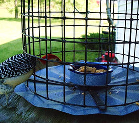 Made in USA badge on Erva bluebird feeder
