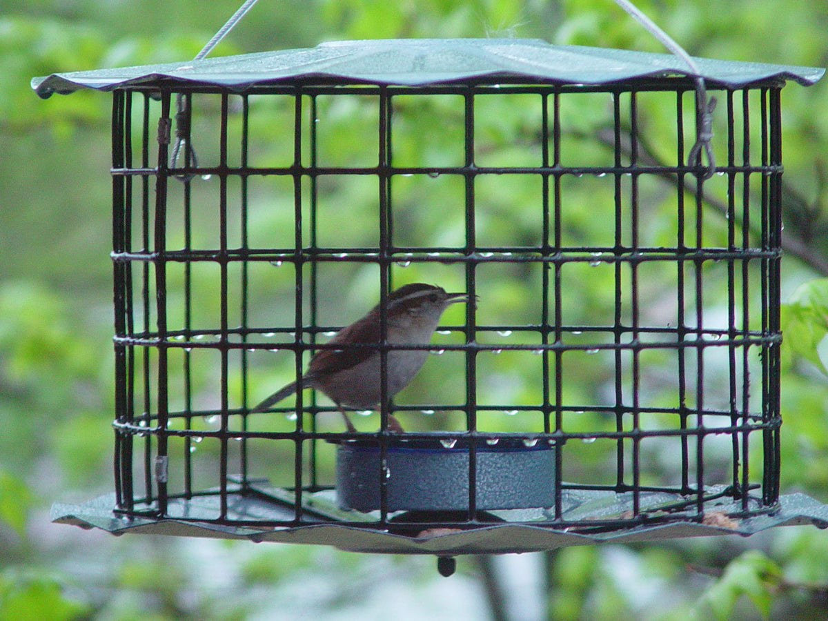 Vinyl coated mesh on Erva feeder provides durable protection