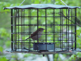 Vinyl coated mesh on Erva feeder provides durable protection