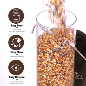 ERYTLLY 6-port tube feeder emphasizes efficient, simultaneous seed access for birds