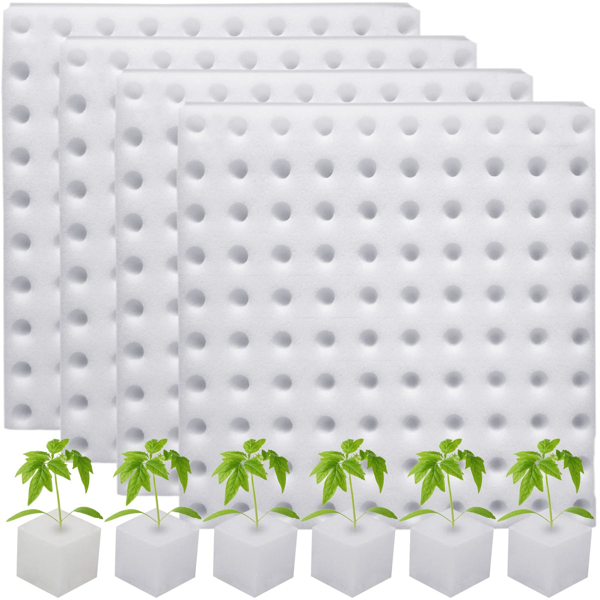 Eshylala hydroponic sponge square seedling for efficient seed starting in greenhouses.