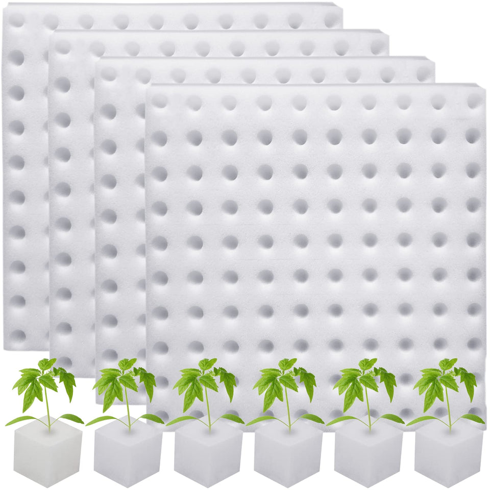 Eshylala hydroponic sponge square seedling for efficient seed starting in greenhouses.