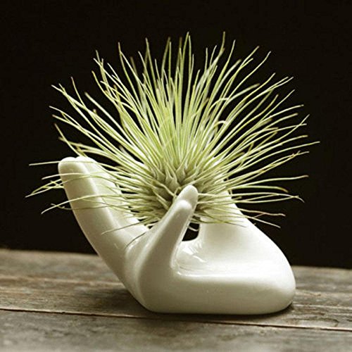 Elegant white ceramic stand by Eshylala that doubles as decor.