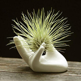 Elegant white ceramic stand by Eshylala that doubles as decor.
