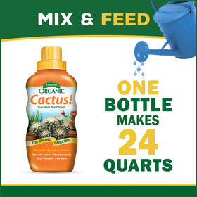 Espoma cactus fertilizer application demonstrates feeding for new growth