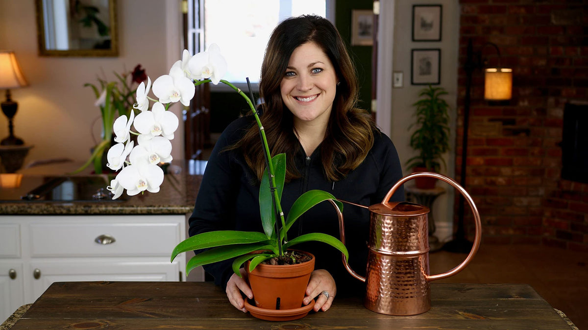 Two 8-ounce Espoma Orchid! bottles in 2-pack packaging for convenient use.