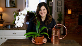 Two 8-ounce Espoma Orchid! bottles in 2-pack packaging for convenient use.