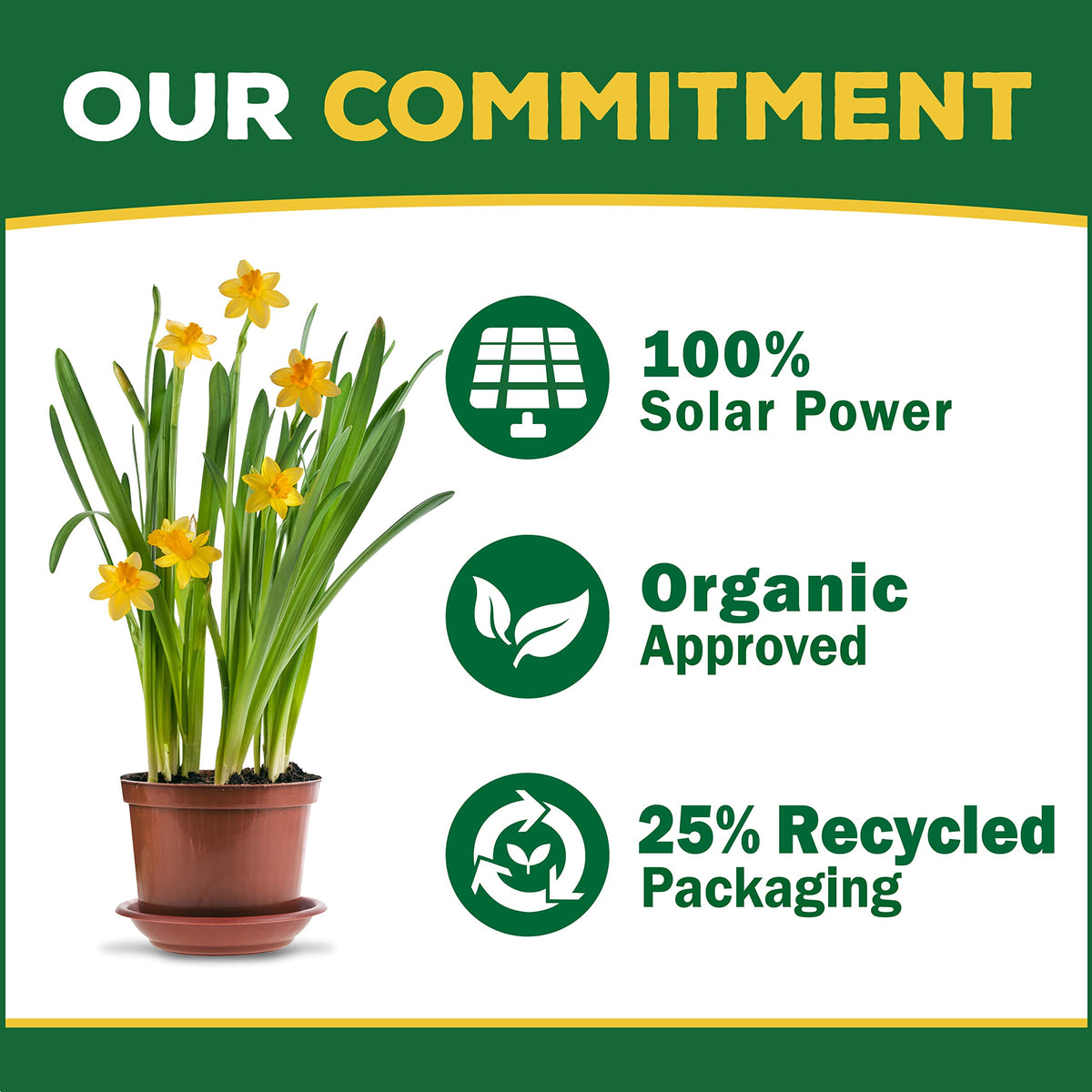 Espoma plant growth promotion illustration suggests stronger roots and vibrant foliage