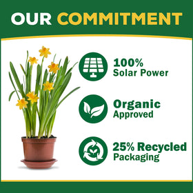 Espoma plant growth promotion illustration suggests stronger roots and vibrant foliage