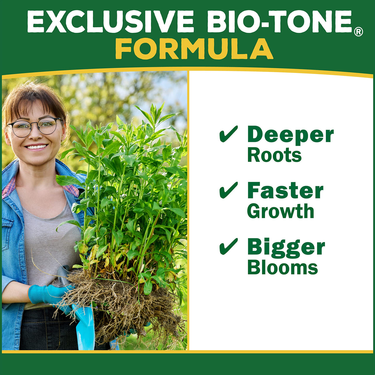 Espoma Plant-Tone for roses and annuals promoting steady growth.