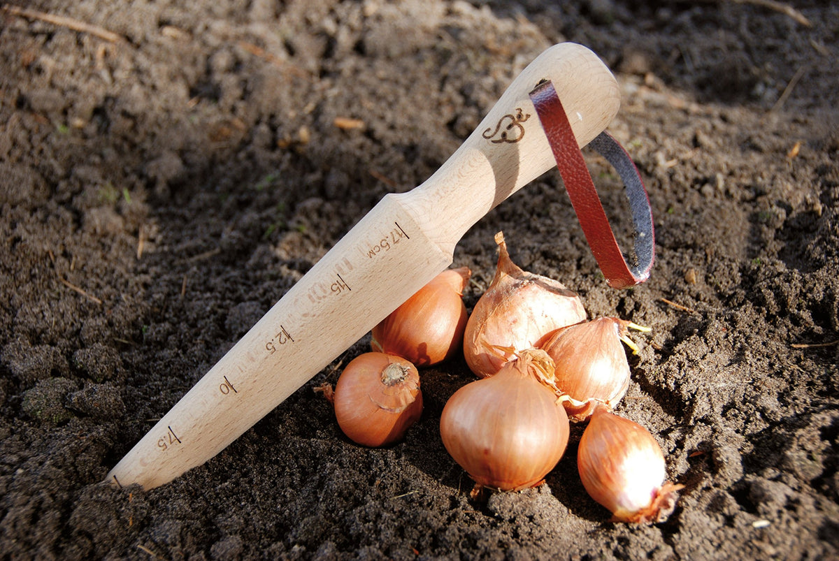 Esschert Design Secrets of the Kitchen Garden dibber scale for accurate planting depth