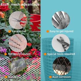 ESSFF decorative-garden-mesh enhances garden aesthetics while protecting plants.