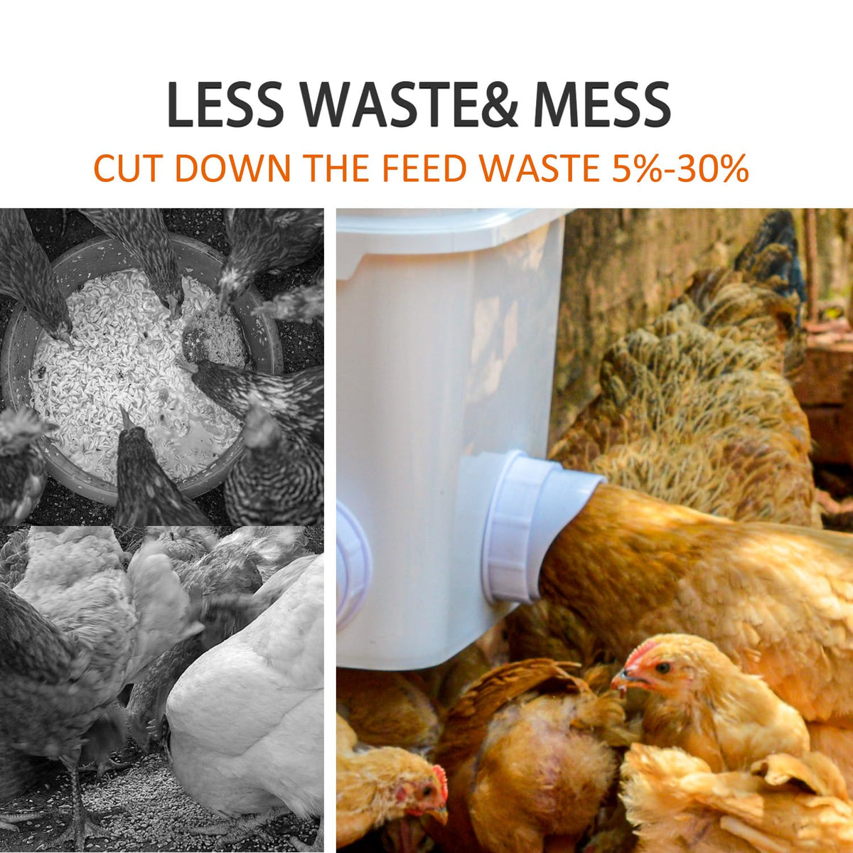 Essilnn gravity feeder with rain hood for rain protection and clean feed.