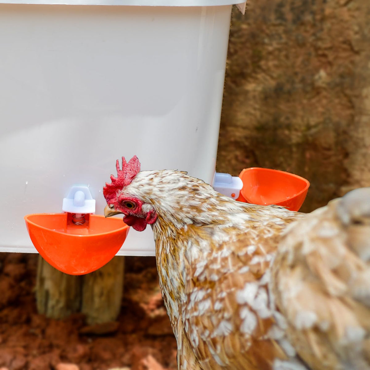 Essilnn three feeder ports support feeding multiple chicks efficiently.