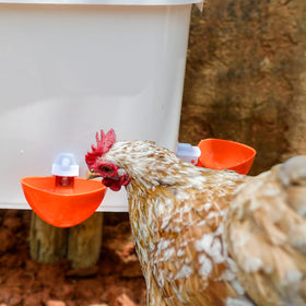 Essilnn three feeder ports support feeding multiple chicks efficiently.