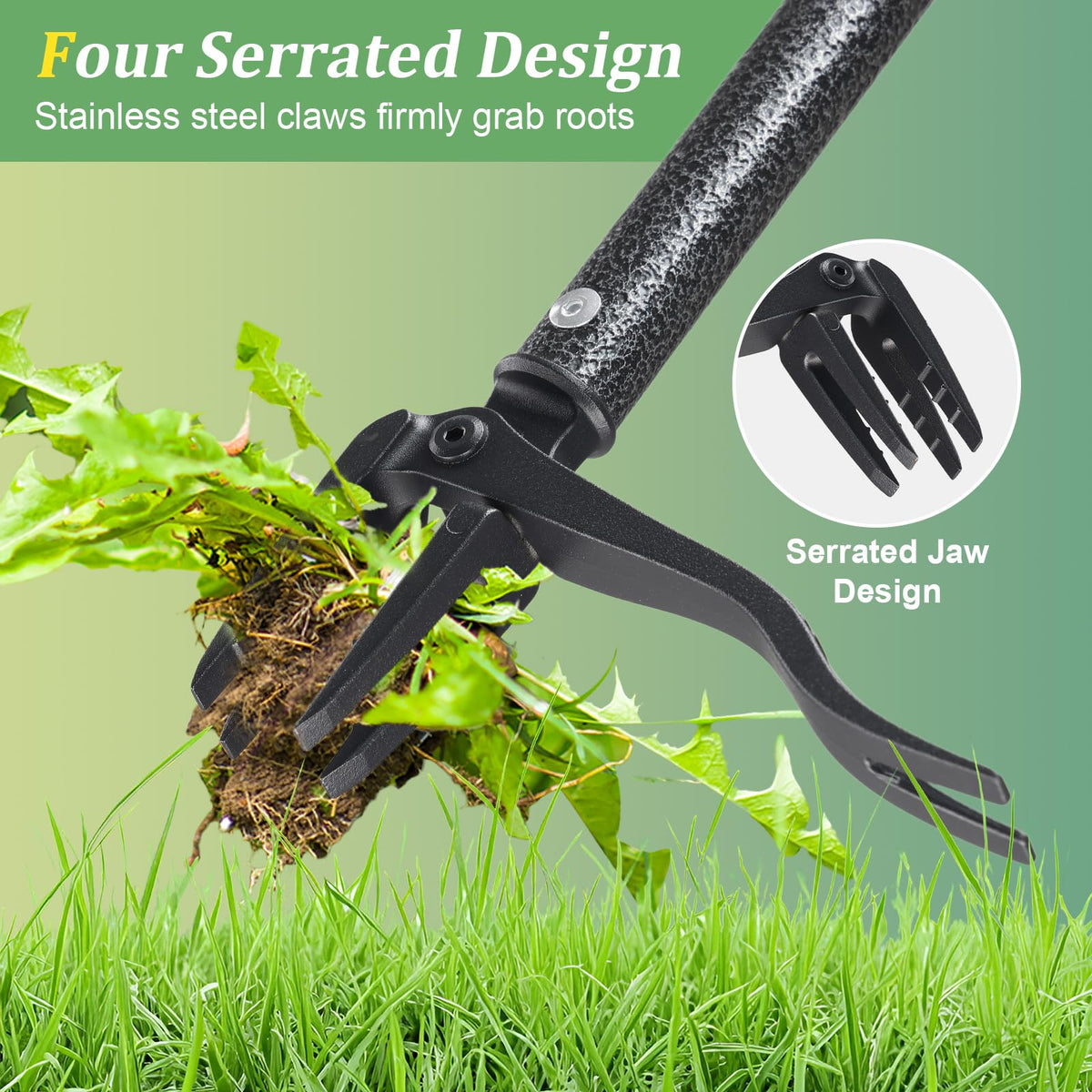 ETICSIPA long-handle weed remover with 4-claw head for precise uprooting
