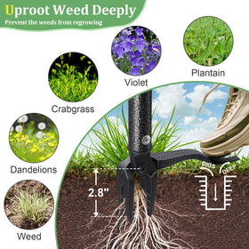 Sturdy metal head tackles dandelions and thistles without harming nearby plants