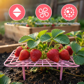 Etnorsu pink strawberry rack with 9.8in length supports compact garden setups.