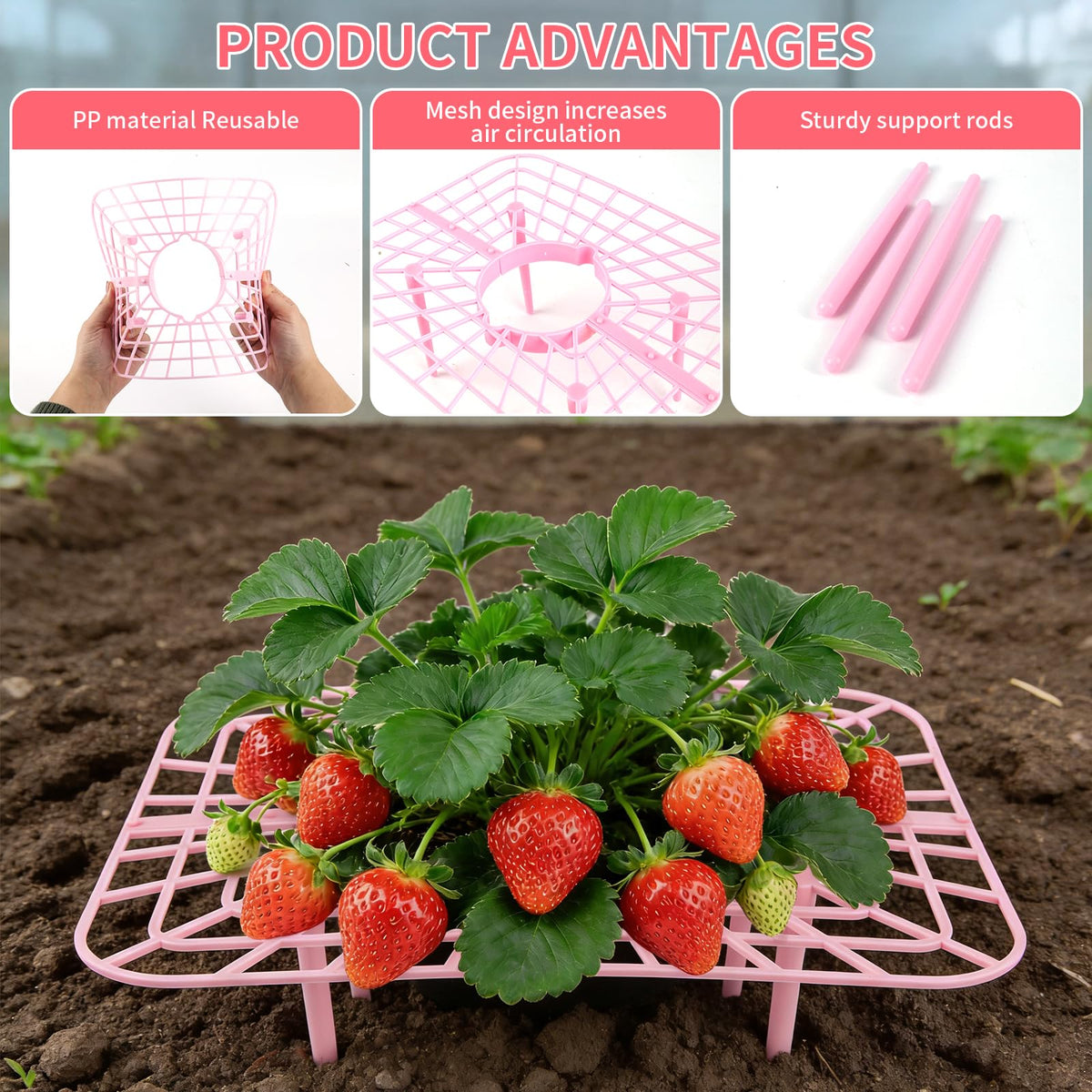 Etnorsu plastic strawberry holders help keep berries off soil for cleaner fruit.