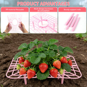 Etnorsu plastic strawberry holders help keep berries off soil for cleaner fruit.
