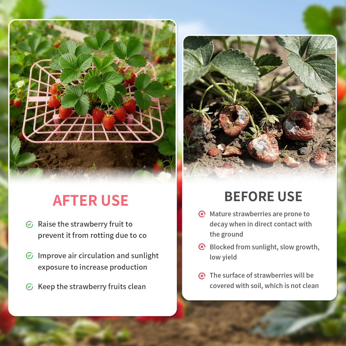 Etnorsu durable PP plastic strawberry stand resists weather and off-season storage.