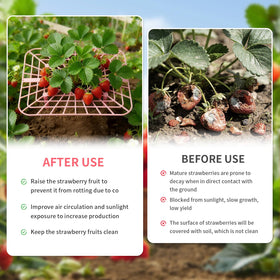 Etnorsu durable PP plastic strawberry stand resists weather and off-season storage.